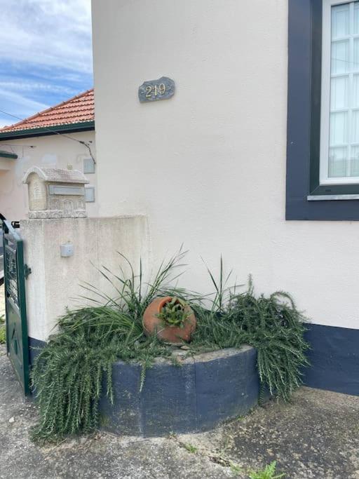 Casa Da Celeste Maljoga de Proenca Exterior foto